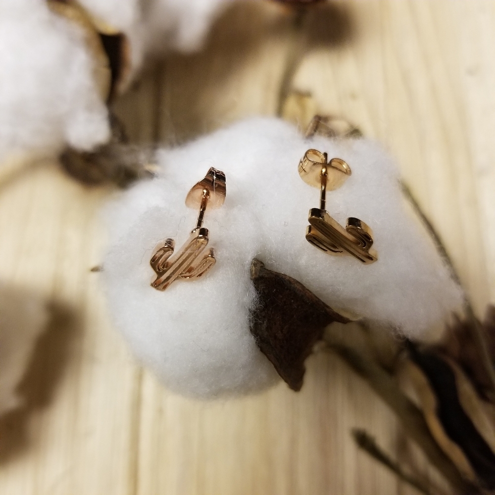 🌵🌵So Cute Stainless Steel Cactus earrings 🌵🌵 - Picture 6 of 9